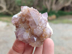 Natural Amethyst Spirit Quartz Clusters x 6 From Boekenhouthoek, South Africa - Toprock Gemstones and Minerals 