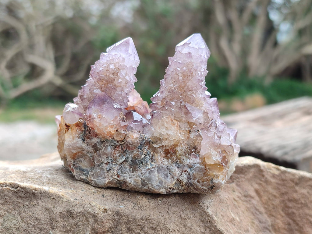 Natural Amethyst Spirit Quartz Clusters x 6 From Boekenhouthoek, South Africa - Toprock Gemstones and Minerals 