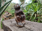 Hand Made Sitting Baboon Carving x 1 From Zimbabwe - Toprock Gemstones and Minerals 