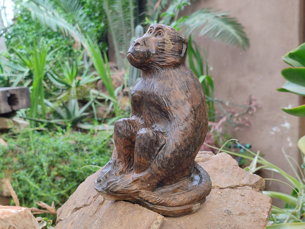 Hand Made Sitting Baboon Carving x 1 From Zimbabwe - Toprock Gemstones and Minerals 