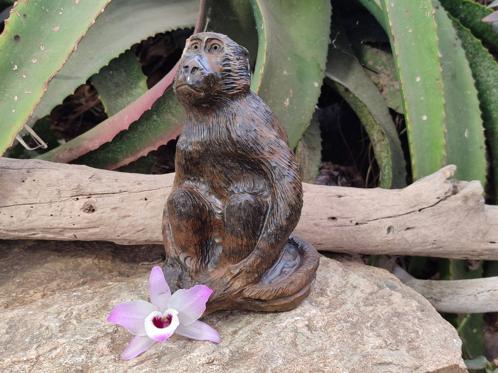 Hand Made Sitting Baboon Carving x 1 From Zimbabwe - Toprock Gemstones and Minerals 