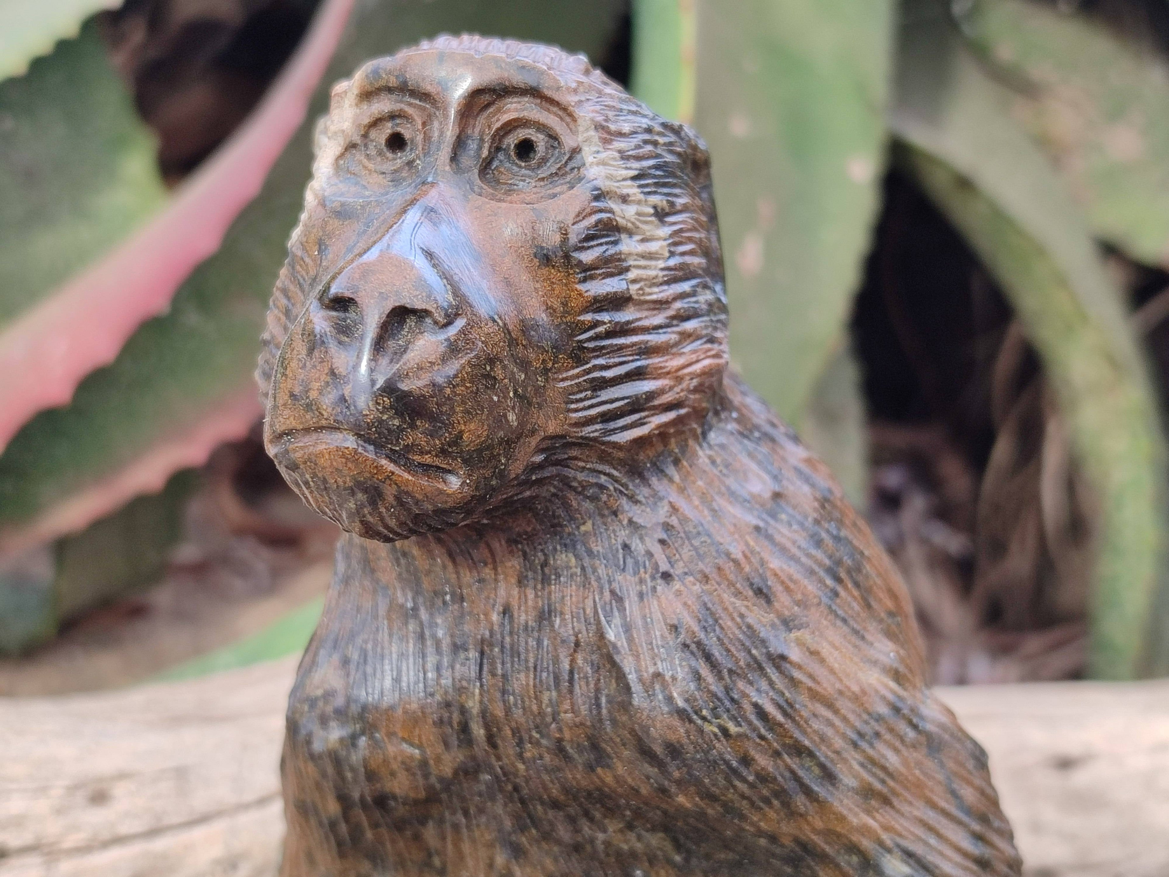 Hand Made Sitting Baboon Carving x 1 From Zimbabwe - Toprock Gemstones and Minerals 