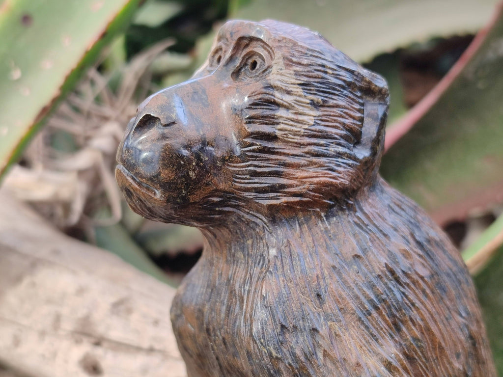 Hand Made Sitting Baboon Carving x 1 From Zimbabwe - Toprock Gemstones and Minerals 