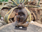 Hand Made Sitting Baboon Carving x 1 From Zimbabwe - Toprock Gemstones and Minerals 