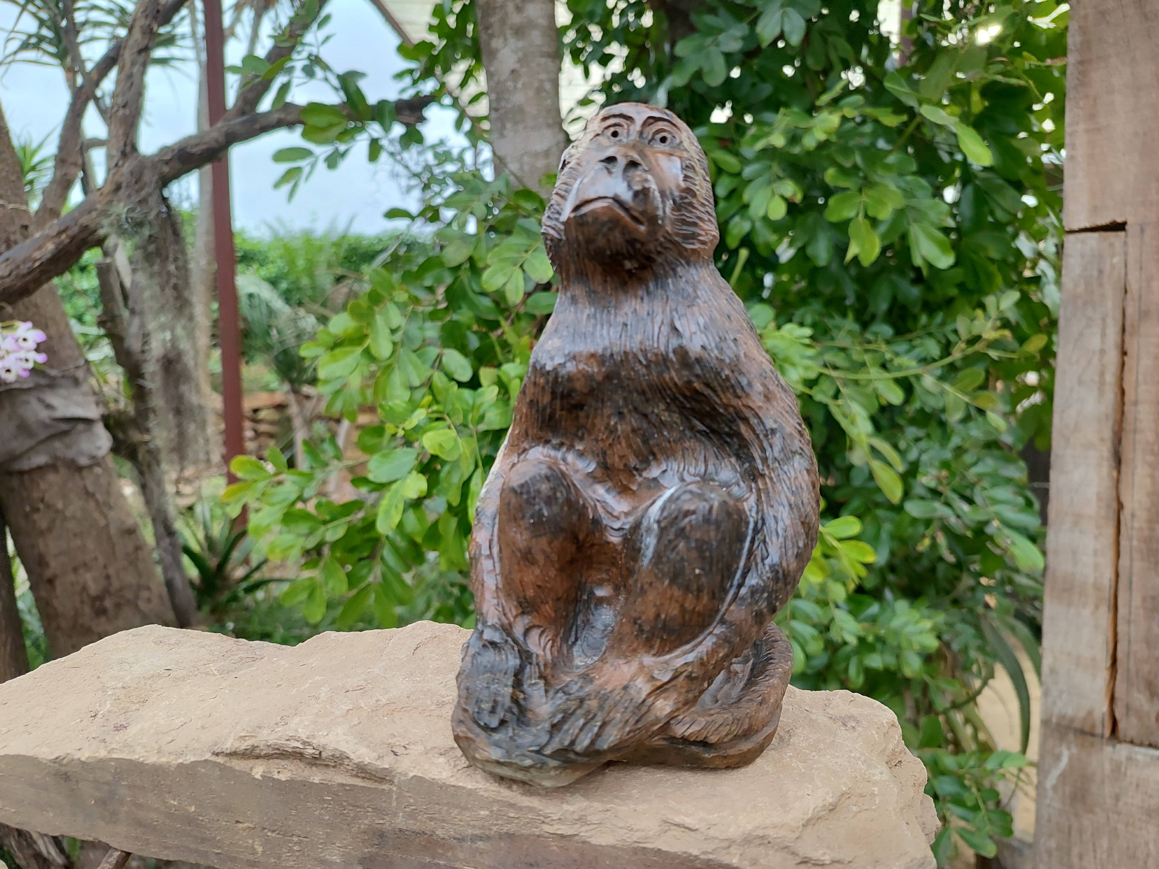 Hand Made Sitting Baboon Carving x 1 From Zimbabwe - Toprock Gemstones and Minerals 