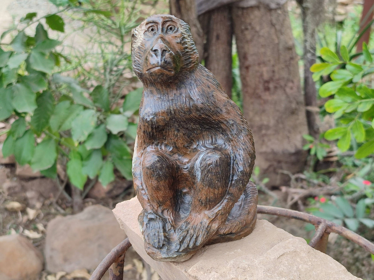 Hand Made Sitting Baboon Carving x 1 From Zimbabwe - Toprock Gemstones and Minerals 