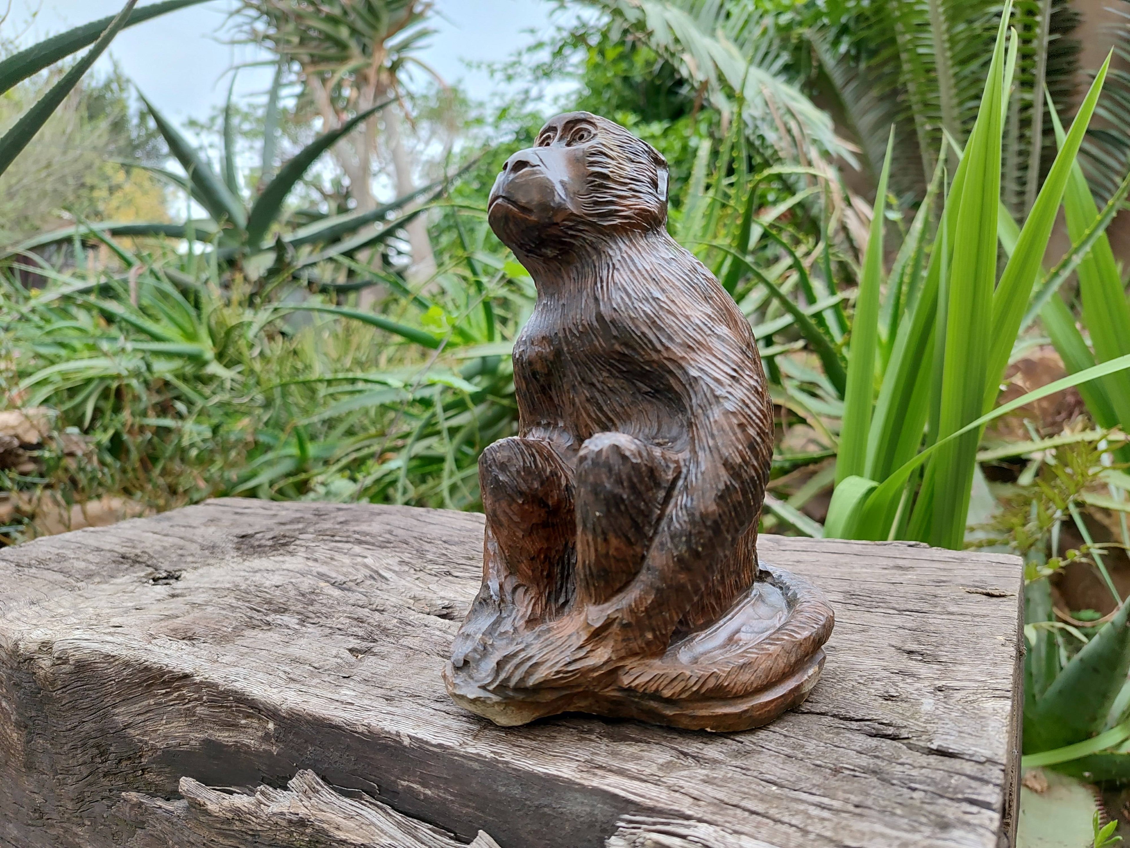 Hand Made Sitting Baboon Carving x 1 From Zimbabwe - Toprock Gemstones and Minerals 