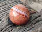 Polished Carnelian Spheres x 5 From Madagascar - Toprock Gemstones and Minerals 