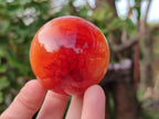 Polished Carnelian Spheres x 5 From Madagascar - Toprock Gemstones and Minerals 