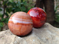 Polished Carnelian Spheres x 5 From Madagascar - Toprock Gemstones and Minerals 