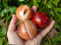 Polished Carnelian Spheres x 5 From Madagascar - Toprock Gemstones and Minerals 