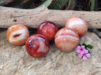 Polished Carnelian Spheres x 5 From Madagascar - Toprock Gemstones and Minerals 