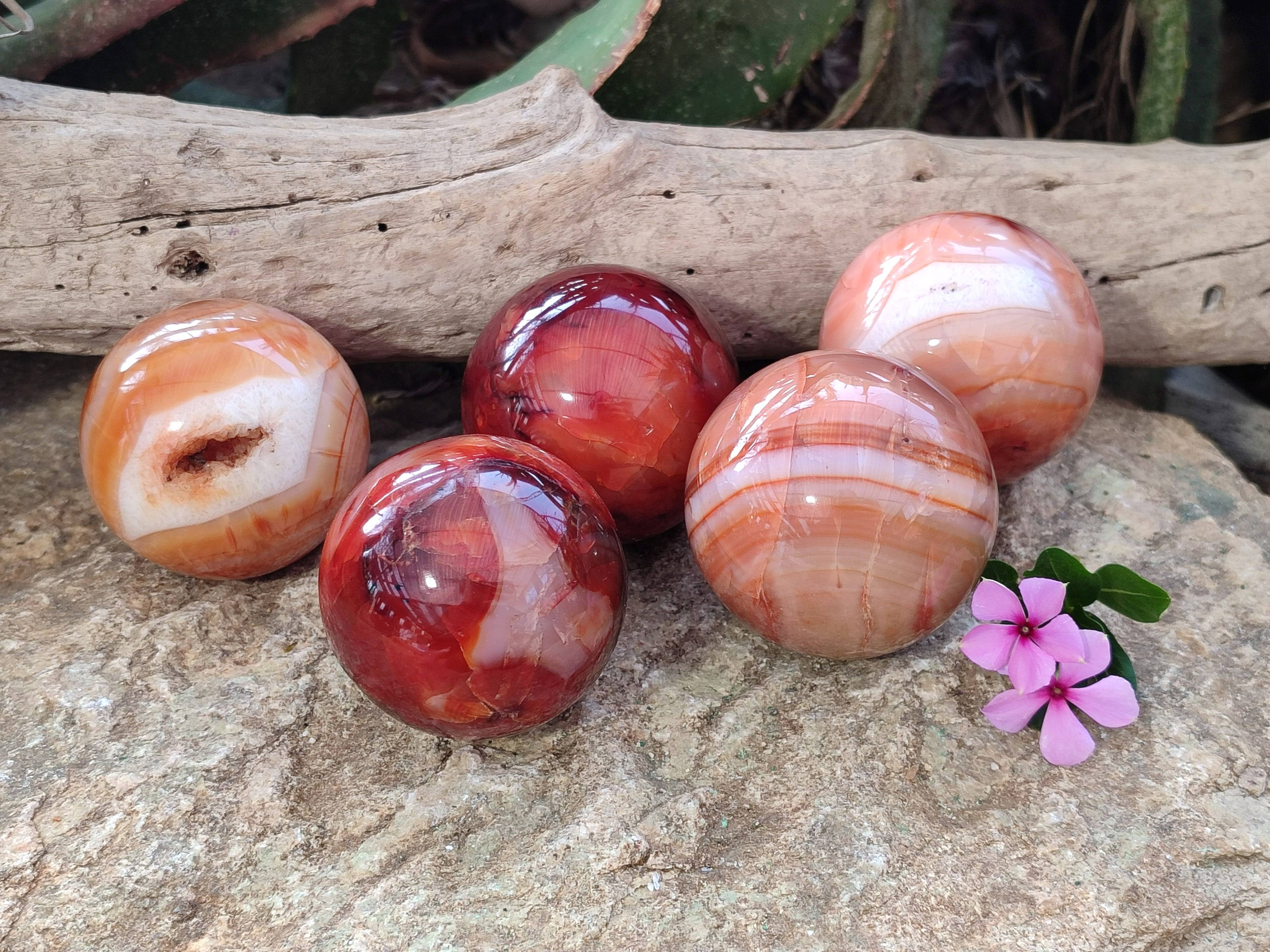 Polished Carnelian Spheres x 5 From Madagascar - Toprock Gemstones and Minerals 