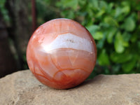 Polished Carnelian Spheres x 5 From Madagascar - Toprock Gemstones and Minerals 