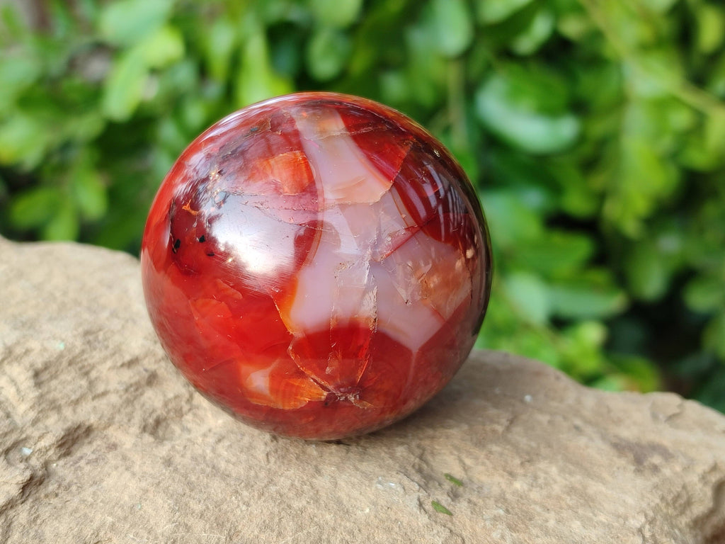 Polished Carnelian Spheres x 5 From Madagascar - Toprock Gemstones and Minerals 