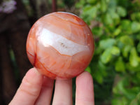 Polished Carnelian Spheres x 5 From Madagascar - Toprock Gemstones and Minerals 