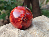 Polished Carnelian Spheres x 5 From Madagascar - Toprock Gemstones and Minerals 