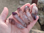 Natural Window Amethyst Crystals x 20 From Chiredzi, Zimbabwe - Toprock Gemstones and Minerals 
