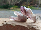 Natural Window Amethyst Crystals x 20 From Chiredzi, Zimbabwe - Toprock Gemstones and Minerals 