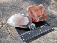 Polished On One Side , Sashe River Agate Nodules x 24 From Zimbabwe - Toprock Gemstones and Minerals 