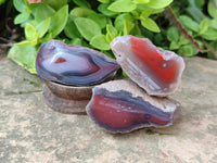 Polished On One Side , Sashe River Agate Nodules x 24 From Zimbabwe - Toprock Gemstones and Minerals 