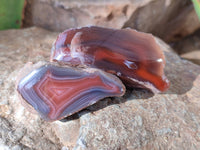 Polished On One Side , Sashe River Agate Nodules x 24 From Zimbabwe - Toprock Gemstones and Minerals 