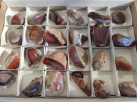 Polished On One Side , Sashe River Agate Nodules x 24 From Zimbabwe - Toprock Gemstones and Minerals 