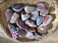 Polished On One Side , Sashe River Agate Nodules x 24 From Zimbabwe - Toprock Gemstones and Minerals 