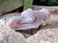 Polished On One Side , Sashe River Agate Nodules x 24 From Zimbabwe - Toprock Gemstones and Minerals 