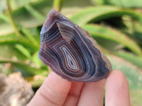 Polished On One Side , Sashe River Agate Nodules x 24 From Zimbabwe - Toprock Gemstones and Minerals 
