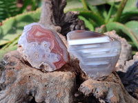 Polished On One Side , Sashe River Agate Nodules x 24 From Zimbabwe - Toprock Gemstones and Minerals 