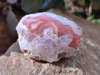 Polished On One Side , Sashe River Agate Nodules x 24 From Zimbabwe - Toprock Gemstones and Minerals 