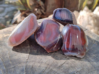 Polished On One Side , Sashe River Agate Nodules x 24 From Zimbabwe - Toprock Gemstones and Minerals 