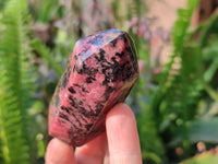 Polished Rhodonite Points x 12 From Ambindavato, Madagascar - Toprock Gemstones and Minerals 