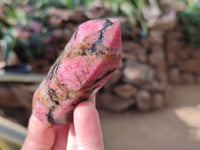 Polished Rhodonite Points x 12 From Ambindavato, Madagascar - Toprock Gemstones and Minerals 