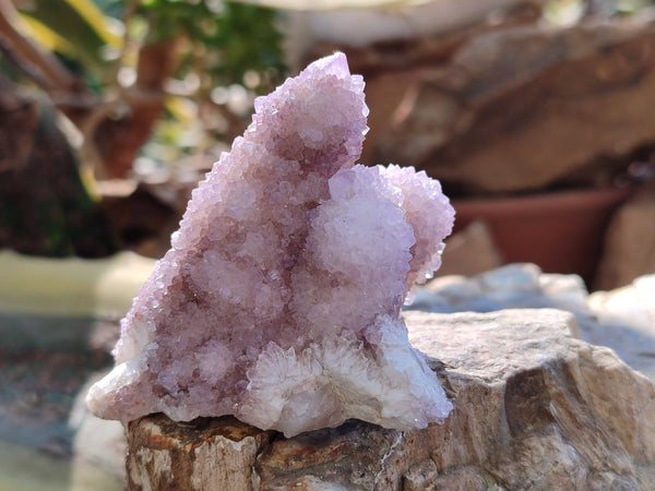 Natural Amethyst Spirit Quartz Clusters x 12 From Boekenhouthoek, South Africa - Toprock Gemstones and Minerals 