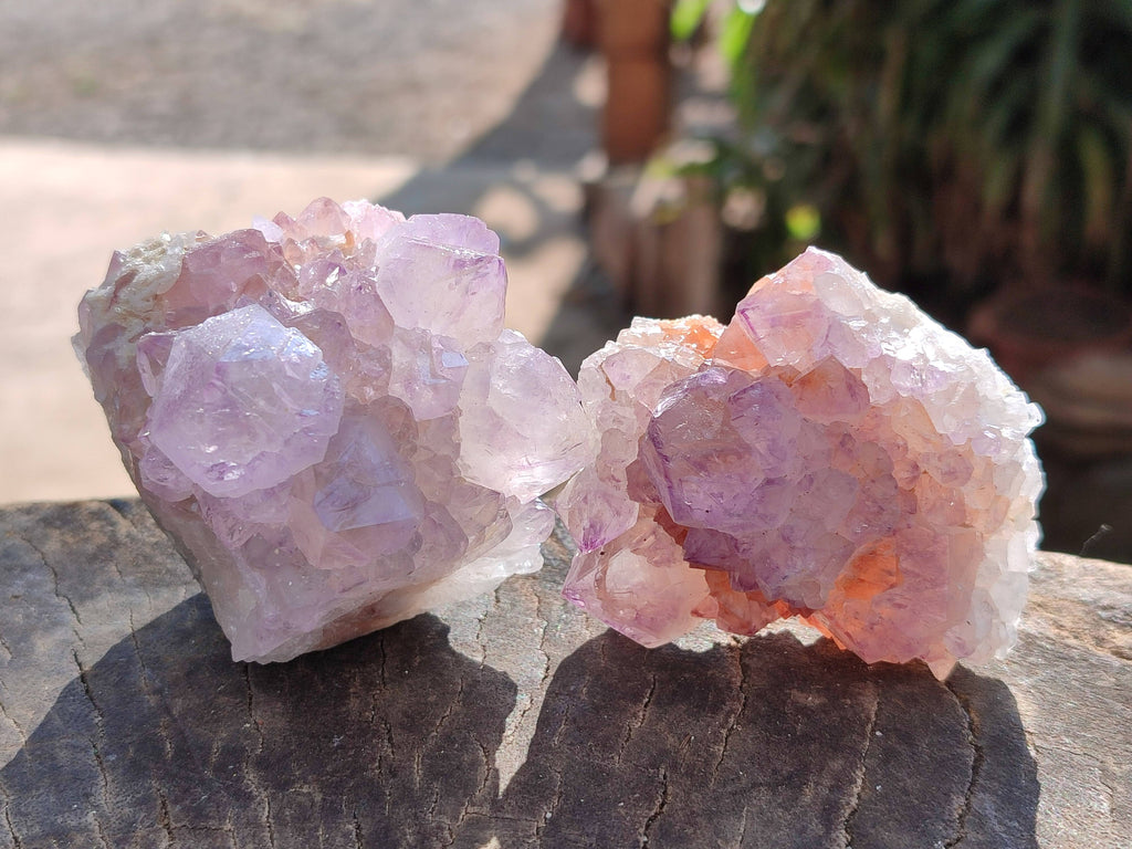 Natural Amethyst Spirit Quartz Clusters x 12 From Boekenhouthoek, South Africa - Toprock Gemstones and Minerals 