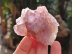 Natural Amethyst Spirit Quartz Clusters x 12 From Boekenhouthoek, South Africa - Toprock Gemstones and Minerals 