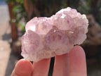 Natural Amethyst Spirit Quartz Clusters x 12 From Boekenhouthoek, South Africa - Toprock Gemstones and Minerals 
