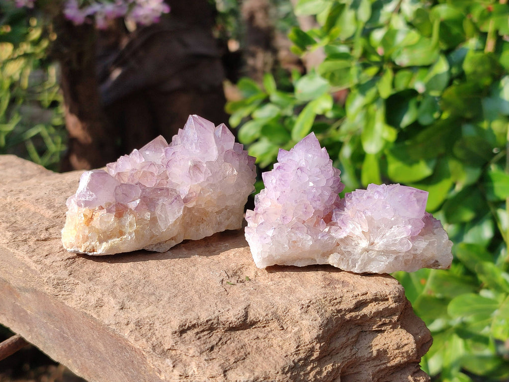 Natural Amethyst Spirit Quartz Clusters x 12 From Boekenhouthoek, South Africa - Toprock Gemstones and Minerals 
