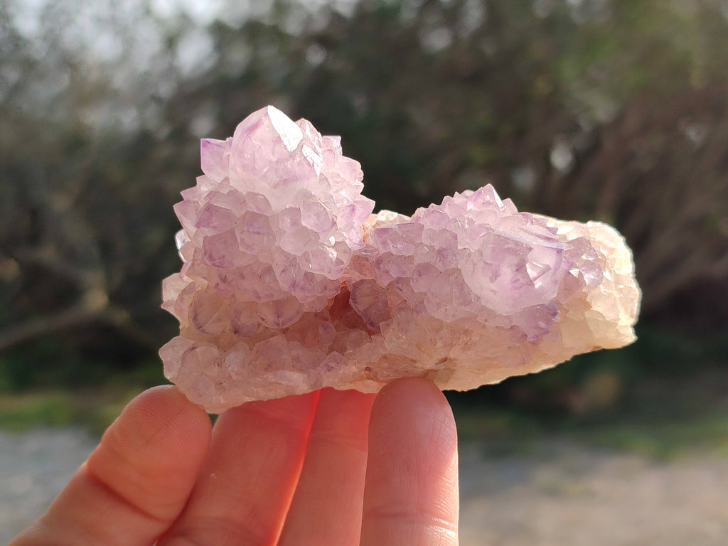 Natural Amethyst Spirit Quartz Clusters x 12 From Boekenhouthoek, South Africa - Toprock Gemstones and Minerals 