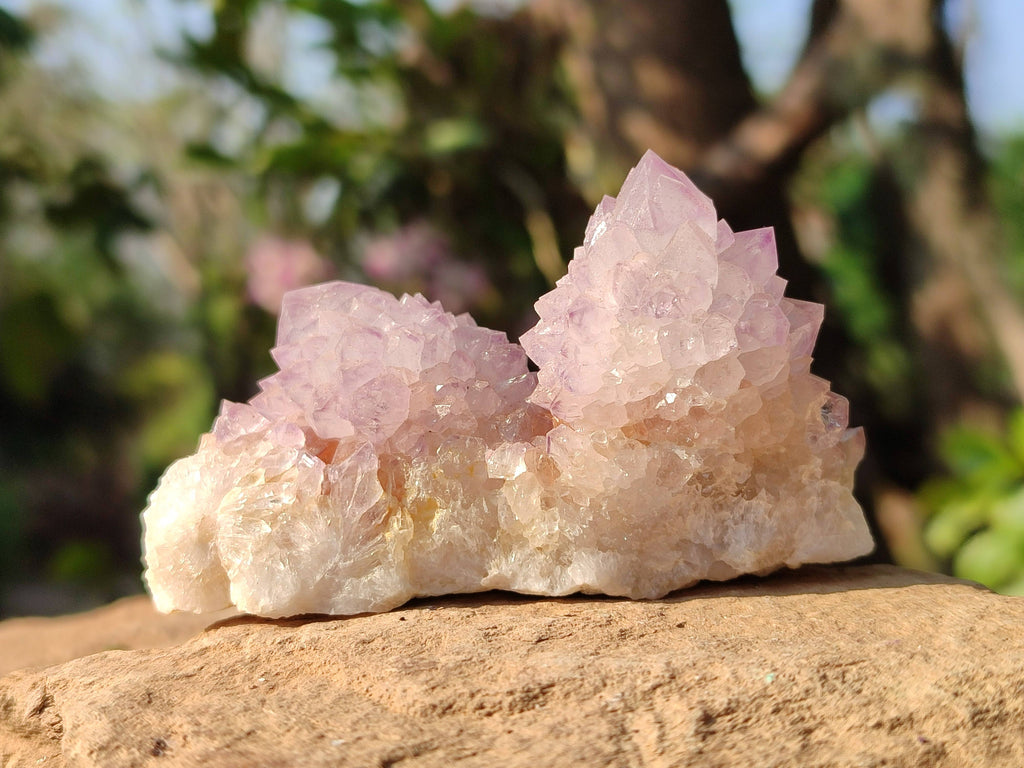 Natural Amethyst Spirit Quartz Clusters x 12 From Boekenhouthoek, South Africa - Toprock Gemstones and Minerals 