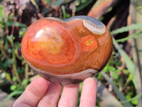 Polished Polychrome Jasper Hearts x 6 From NW Coast, Madagascar
