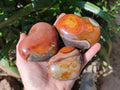 Polished Polychrome Jasper Hearts x 6 From NW Coast, Madagascar - Toprock Gemstones and Minerals 
