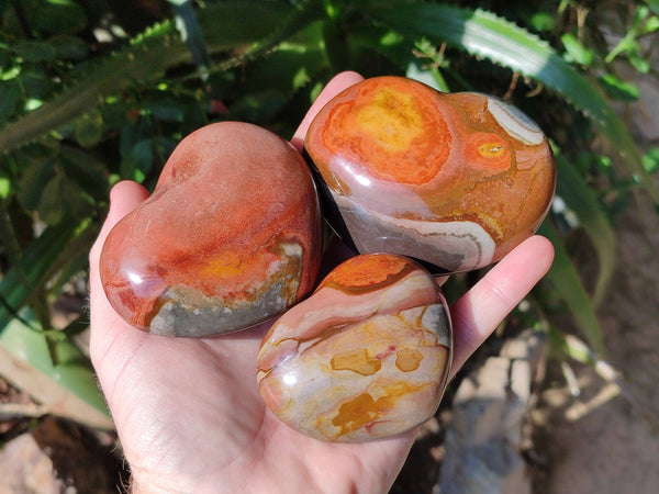 Polished Polychrome Jasper Hearts x 6 From NW Coast, Madagascar