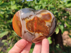 Polished Polychrome Jasper Hearts x 6 From NW Coast, Madagascar - Toprock Gemstones and Minerals 