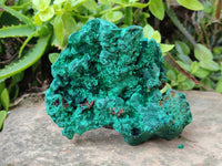 Natural Silky Malachite Specimens x 2 From Kasompe, Congo
