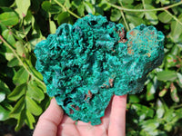 Natural Silky Malachite Specimens x 2 From Kasompe, Congo