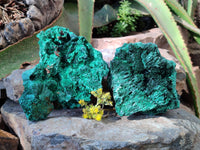 Natural Silky Malachite Specimens x 2 From Kasompe, Congo