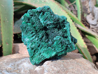 Natural Silky Malachite Specimens x 2 From Kasompe, Congo